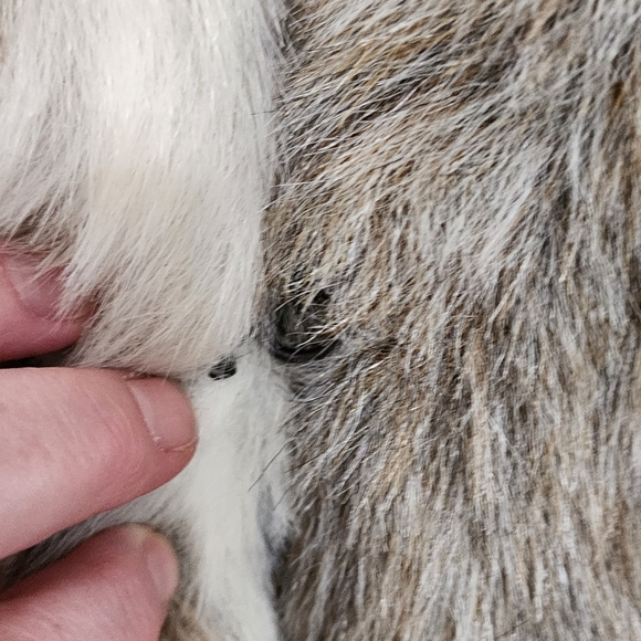 Vintage Nana Creations Mob wife faux fur tan & white animal print jacket S - Picture 4 of 7